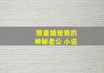 限量婚宠我的神秘老公 小说